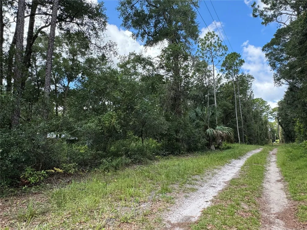 NW 58TH PLACE Chiefland, FL 32626