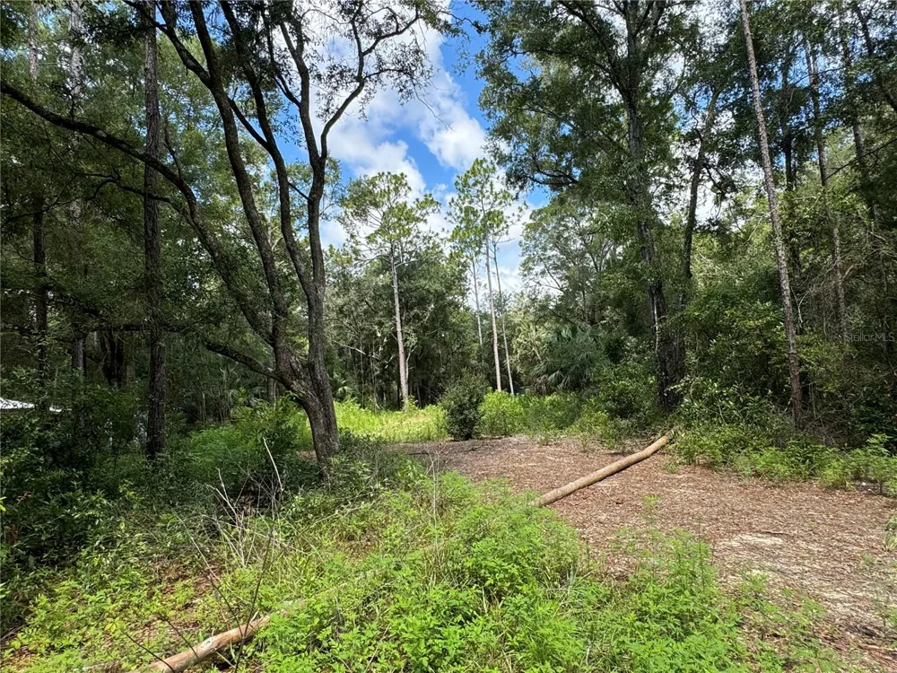 NW 58TH PLACE Chiefland, FL 32626