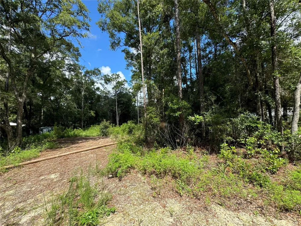 NW 58TH PLACE Chiefland, FL 32626