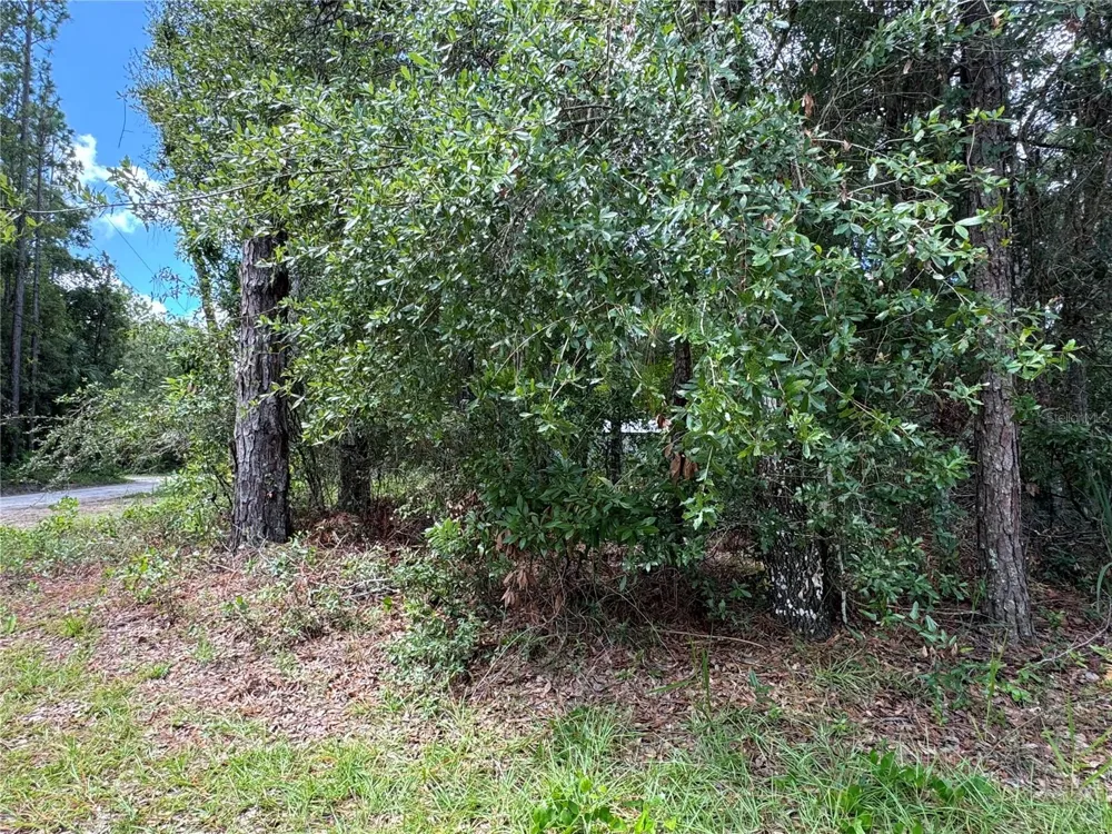 NW 58TH PLACE Chiefland, FL 32626