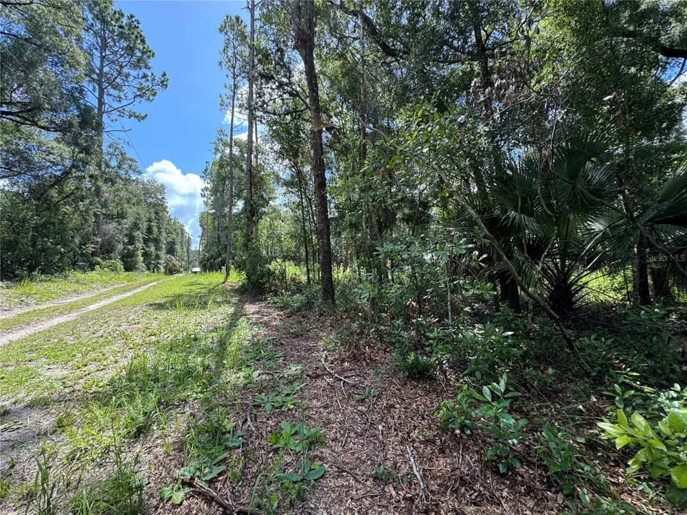 NW 58TH PLACE Chiefland, FL 32626