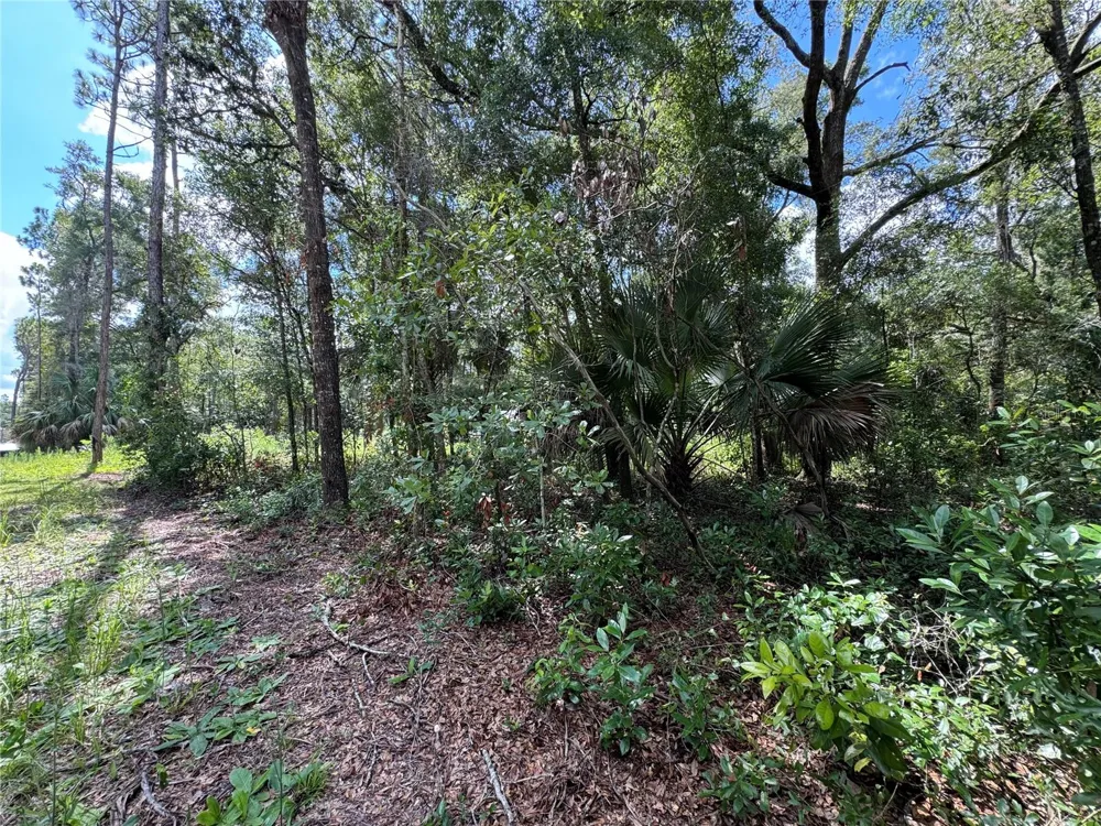 NW 58TH PLACE Chiefland, FL 32626
