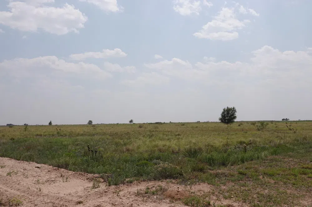 Maine Road Anton, TX 79313