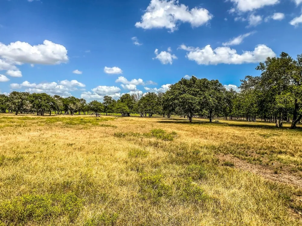 1220 County Road 225 Briggs, TX 78608