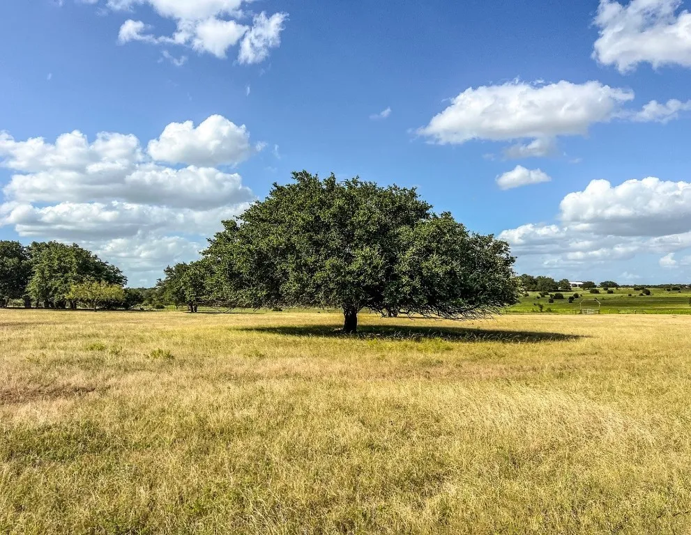 1220 County Road 225 Briggs, TX 78608