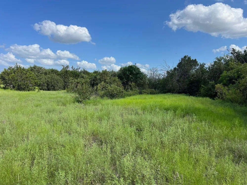 1220 County Road 225 Briggs, TX 78608