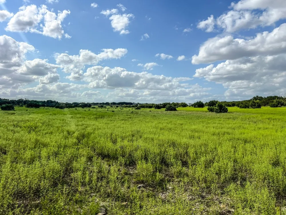 1220 County Road 225 Briggs, TX 78608