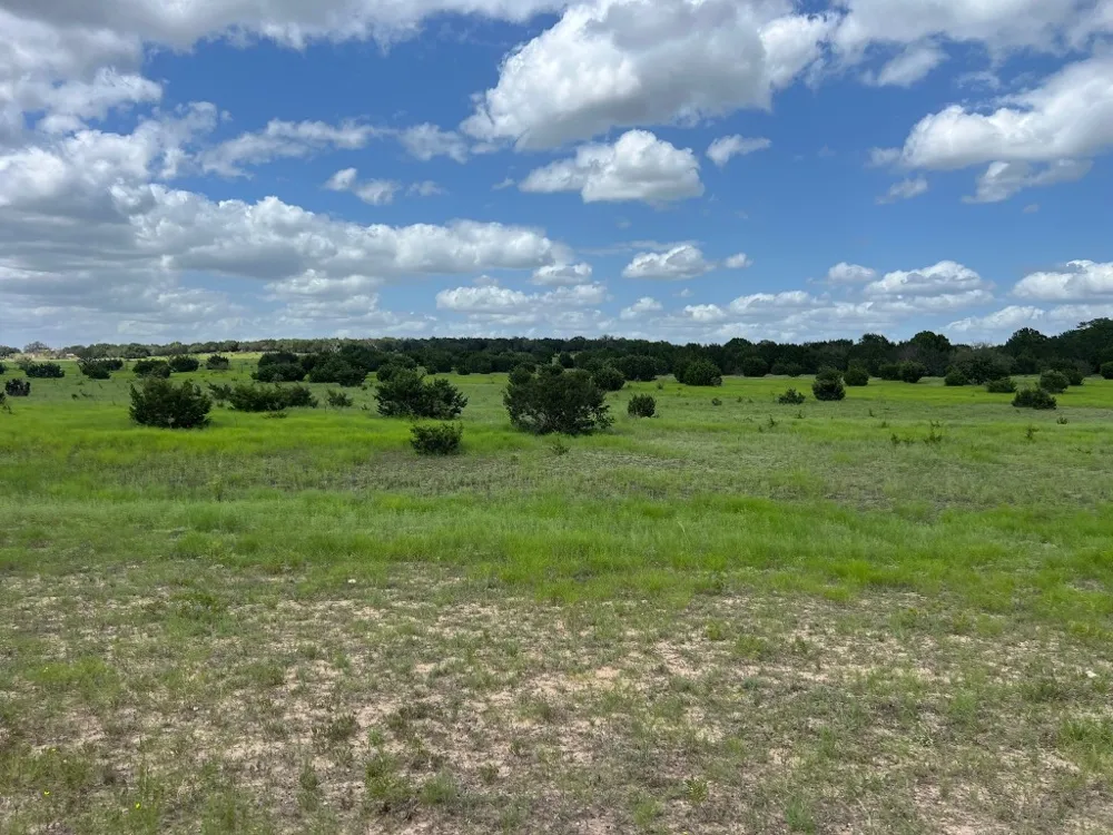 1220 County Road 225 Briggs, TX 78608
