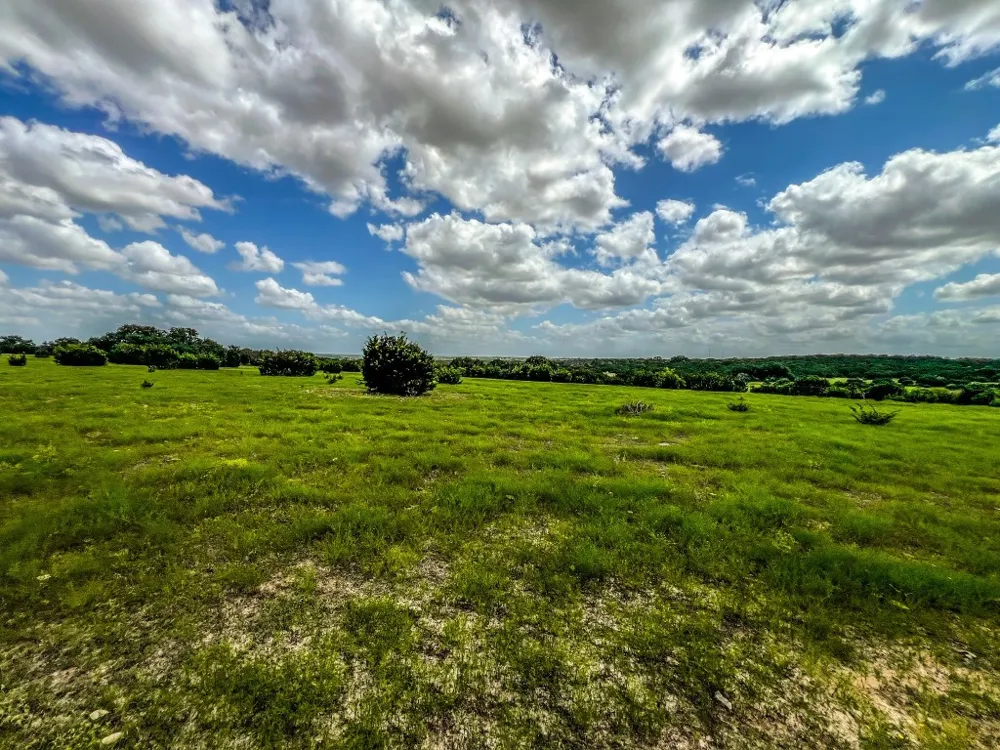 1220 County Road 225 Briggs, TX 78608