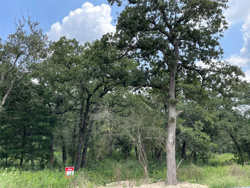 1300 Cypress Trail Loop Rockdale, TX 76567