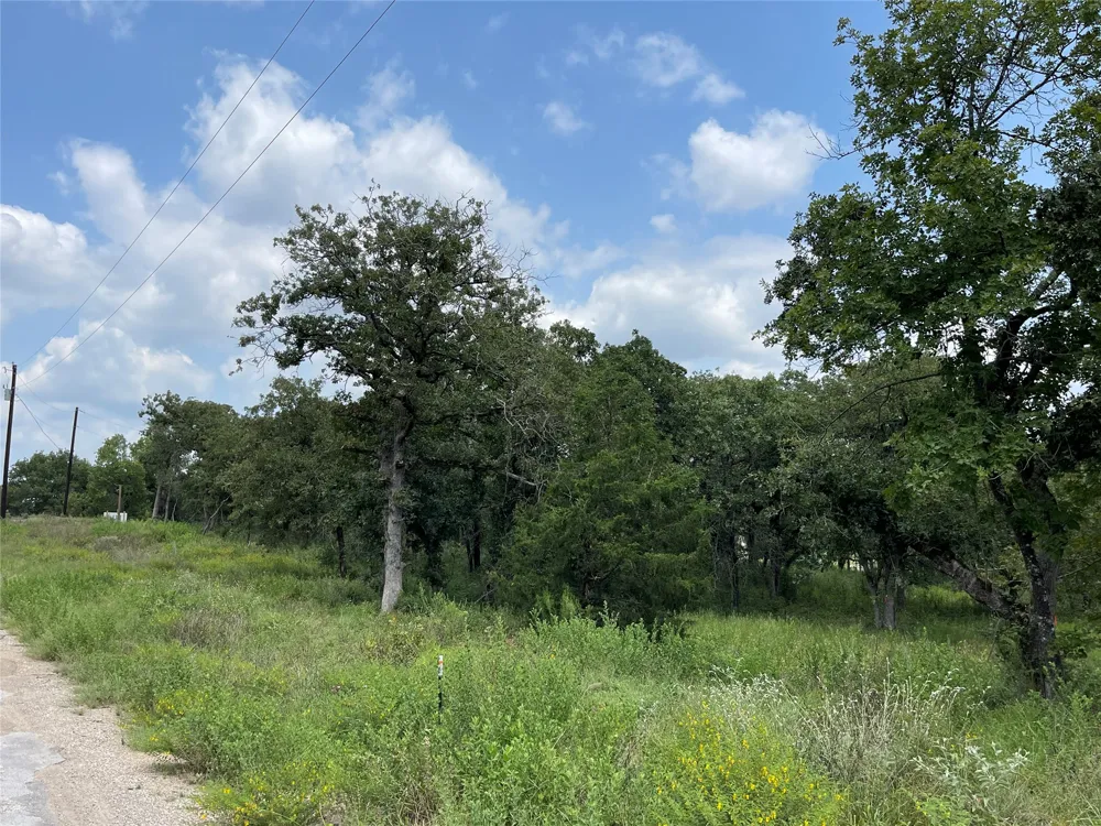 1300 Cypress Trail Loop Rockdale, TX 76567