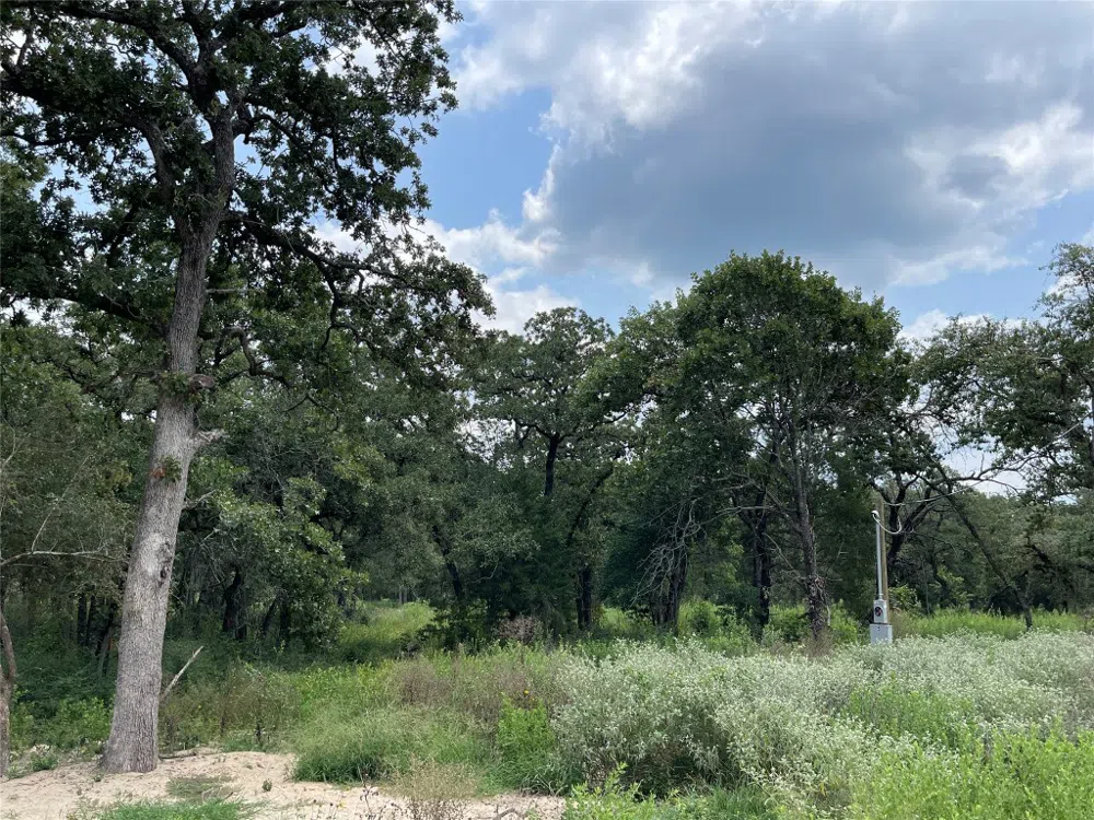 1300 Cypress Trail Loop Rockdale, TX 76567