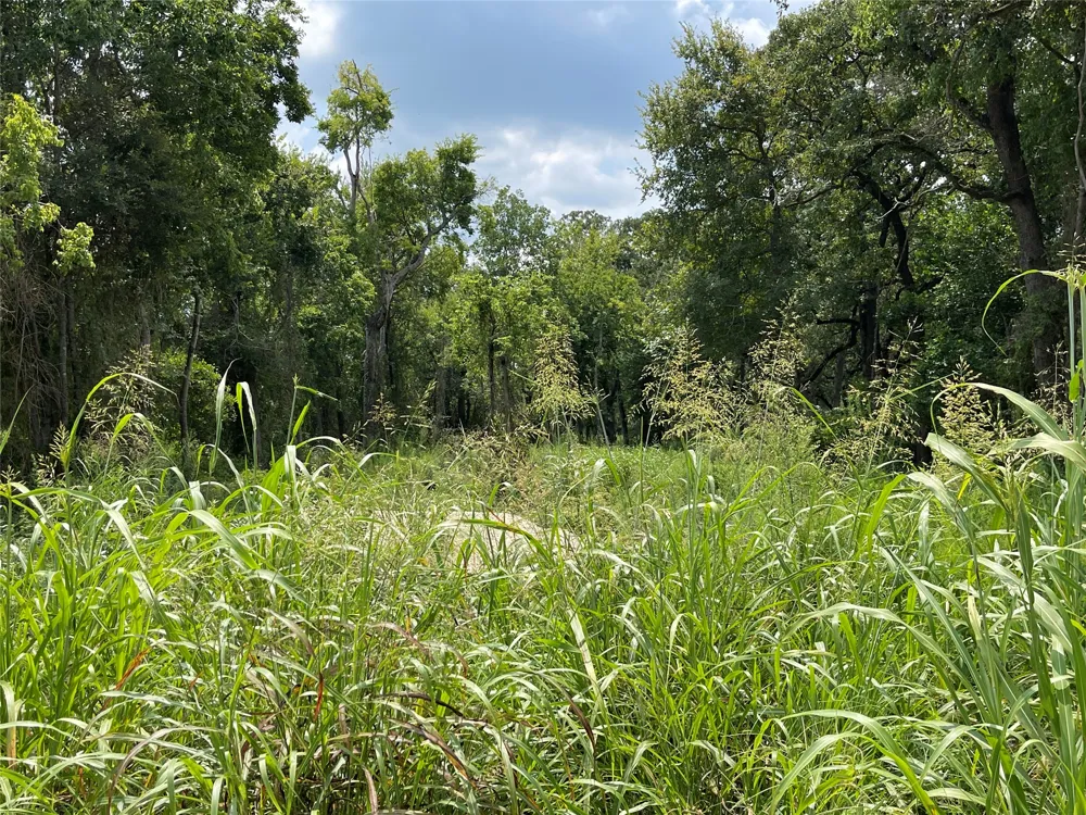 1300 Cypress Trail Loop Rockdale, TX 76567