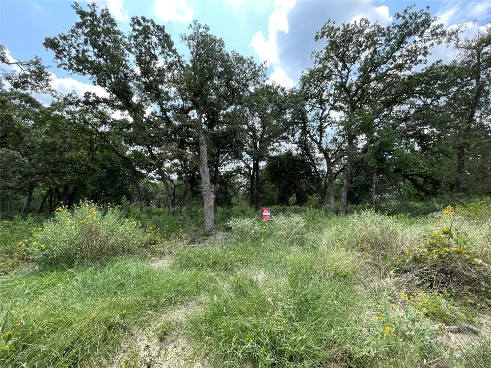 1300 Cypress Trail Loop Rockdale, TX 76567