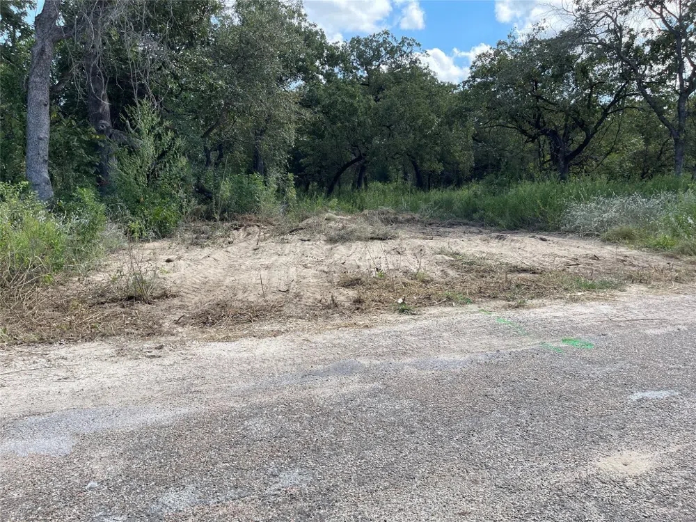 1300 Cypress Trail Loop Rockdale, TX 76567