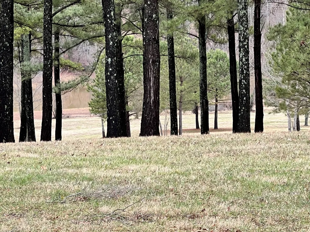 0 Slalom Circle Winchester, TN 37398