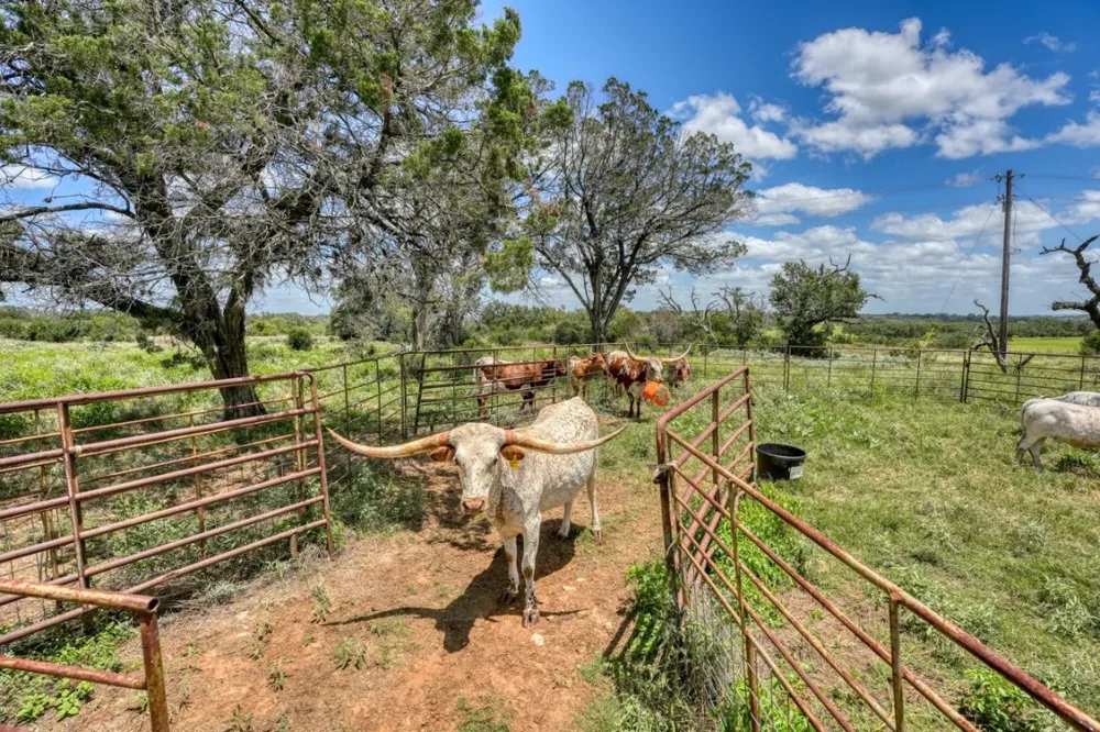 691 Grape Creek Road Johnson City, TX 78636