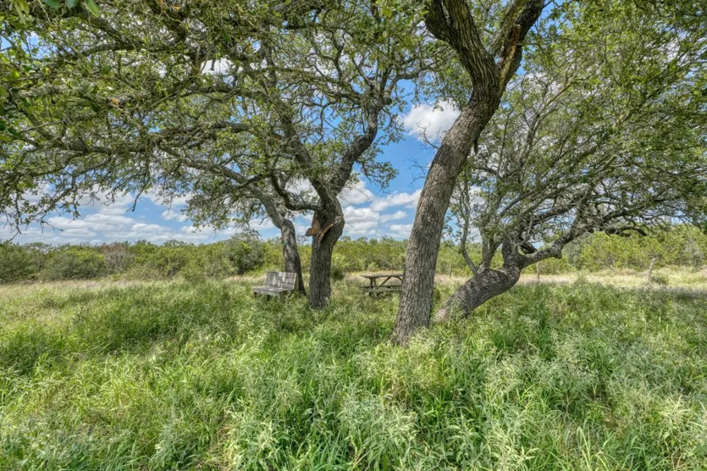 691 Grape Creek Road Johnson City, TX 78636