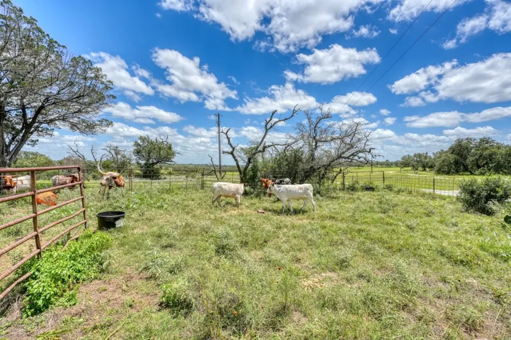 691 Grape Creek Road Johnson City, TX 78636
