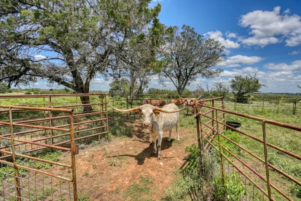 691 Grape Creek Road Johnson City, TX 78636