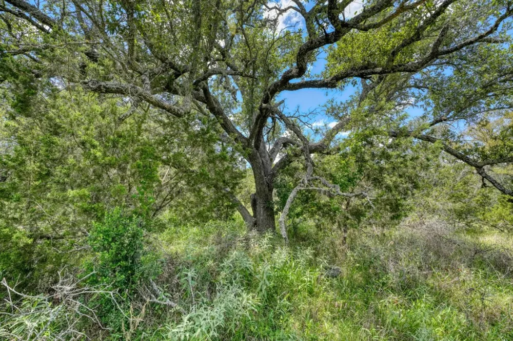 691 Grape Creek Road Johnson City, TX 78636