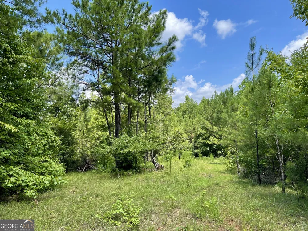 460 WELCOME TO ARNCO RD Newnan, GA 30263