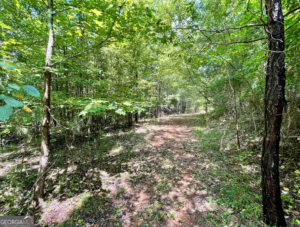 460 WELCOME TO ARNCO RD Newnan, GA 30263