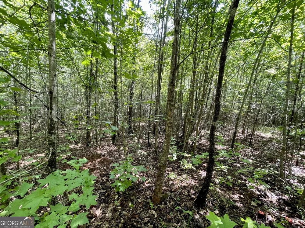 460 WELCOME TO ARNCO RD Newnan, GA 30263