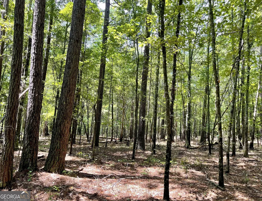 0 WELCOME TO ARNCO RD Newnan, GA 30263