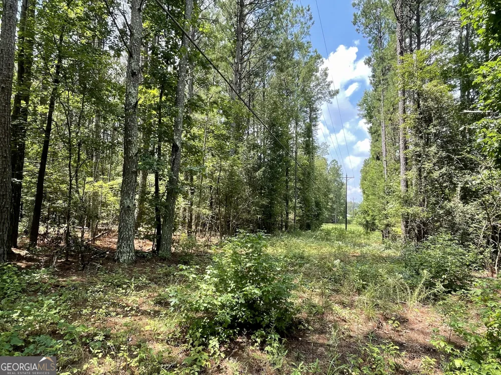 0 WELCOME TO ARNCO RD Newnan, GA 30263