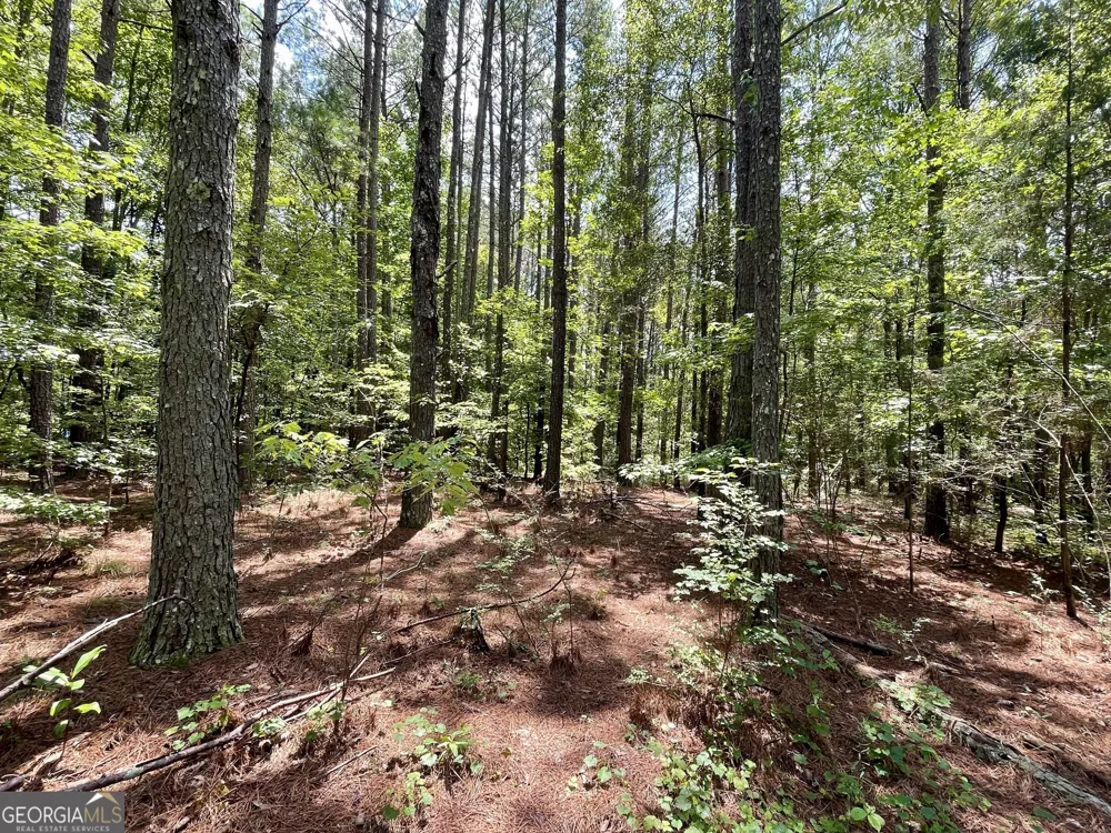 0 WELCOME TO ARNCO RD Newnan, GA 30263