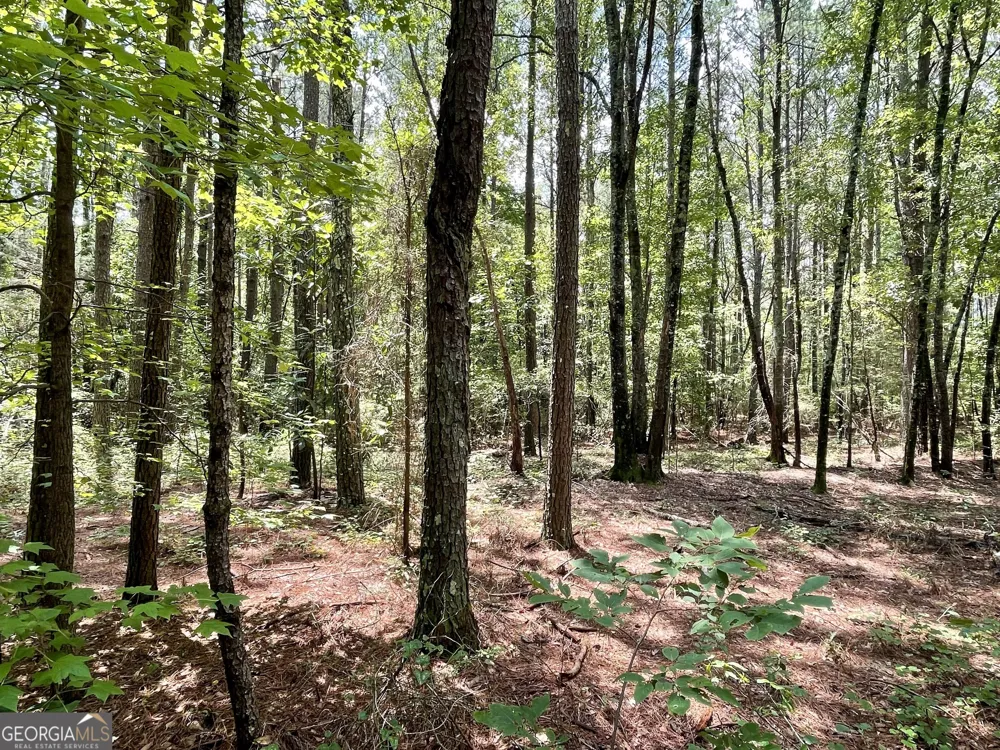 0 WELCOME TO ARNCO RD Newnan, GA 30263