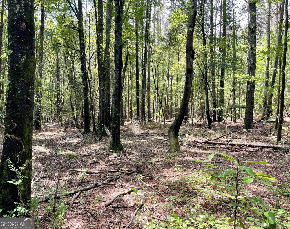 0 WELCOME TO ARNCO RD Newnan, GA 30263