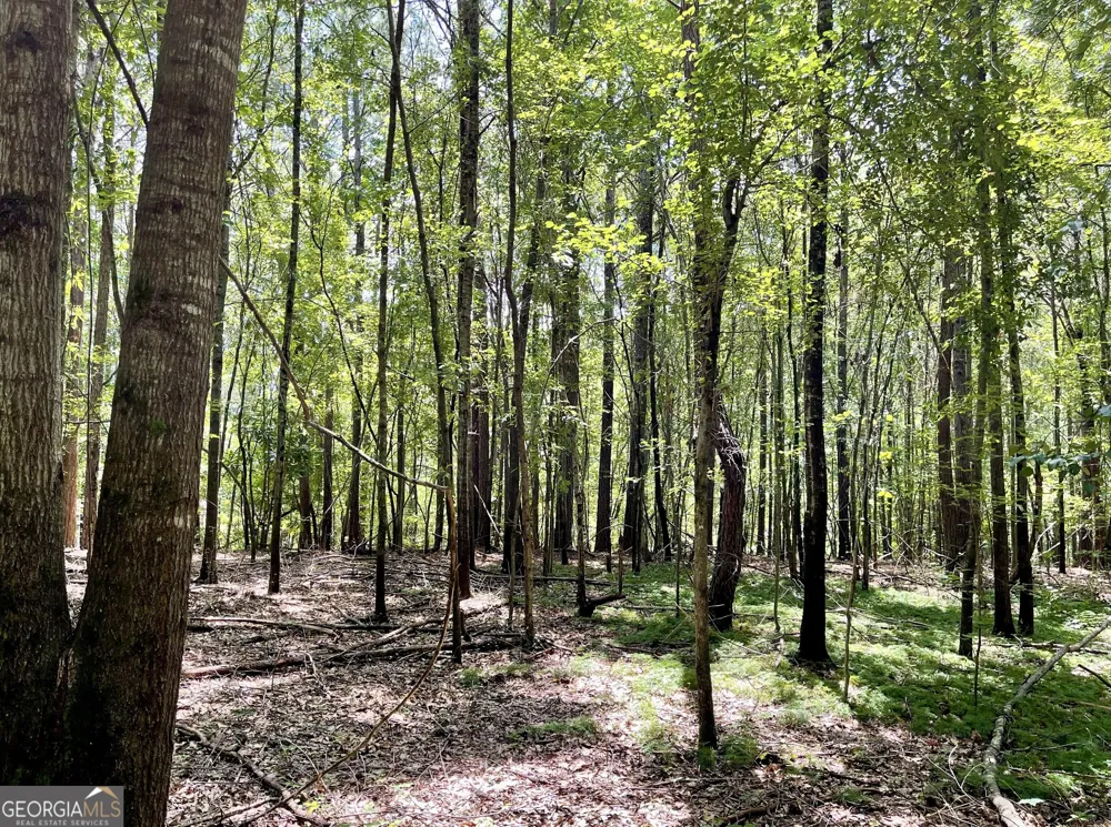0 WELCOME TO ARNCO RD Newnan, GA 30263
