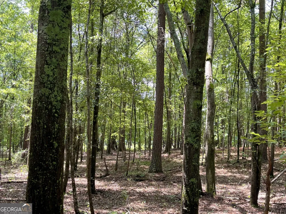 0 WELCOME TO ARNCO RD Newnan, GA 30263