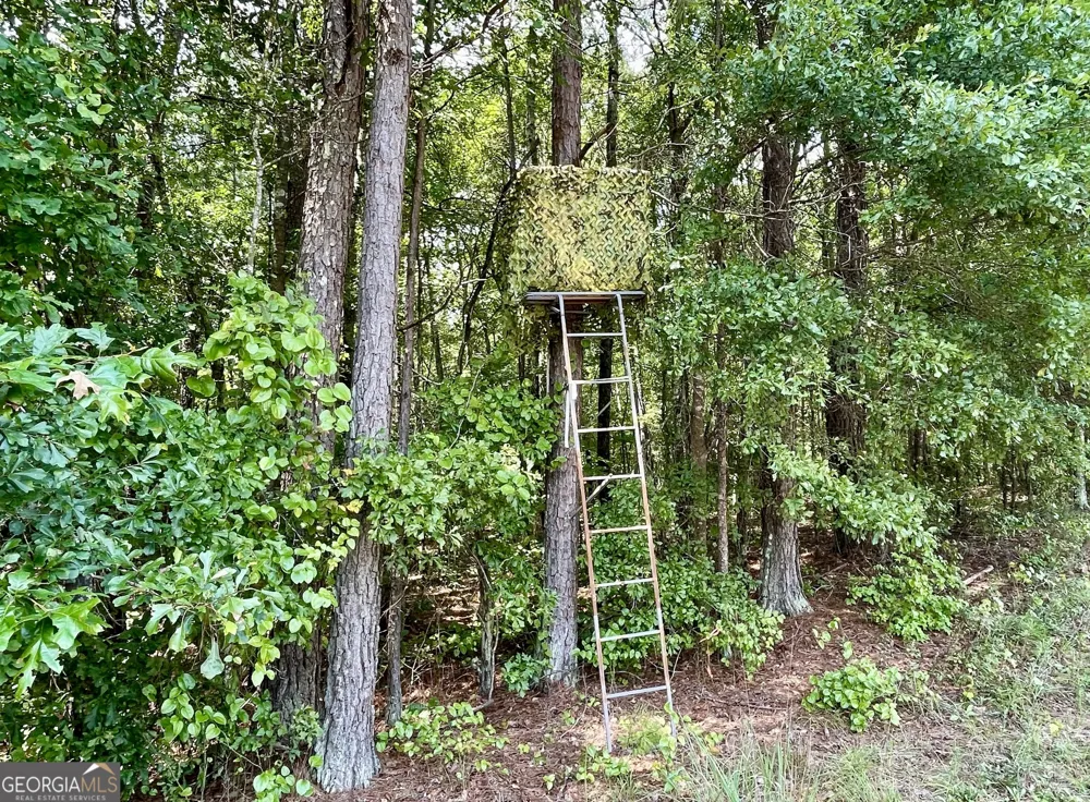 0 WELCOME TO ARNCO RD Newnan, GA 30263