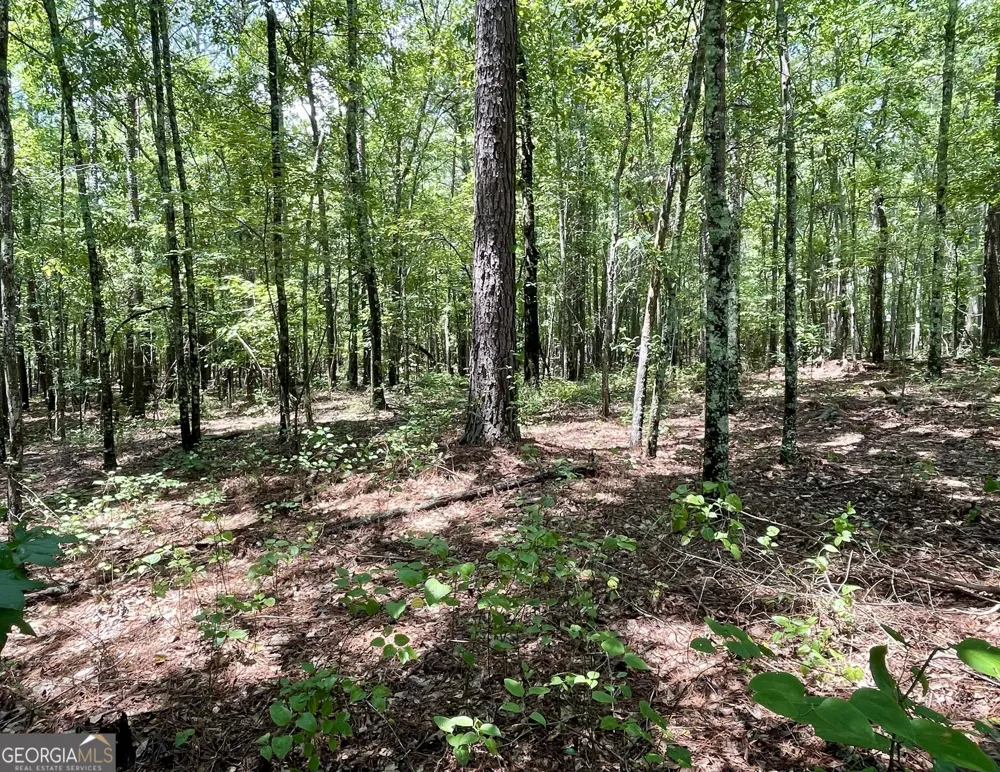 0 WELCOME TO ARNCO RD Newnan, GA 30263
