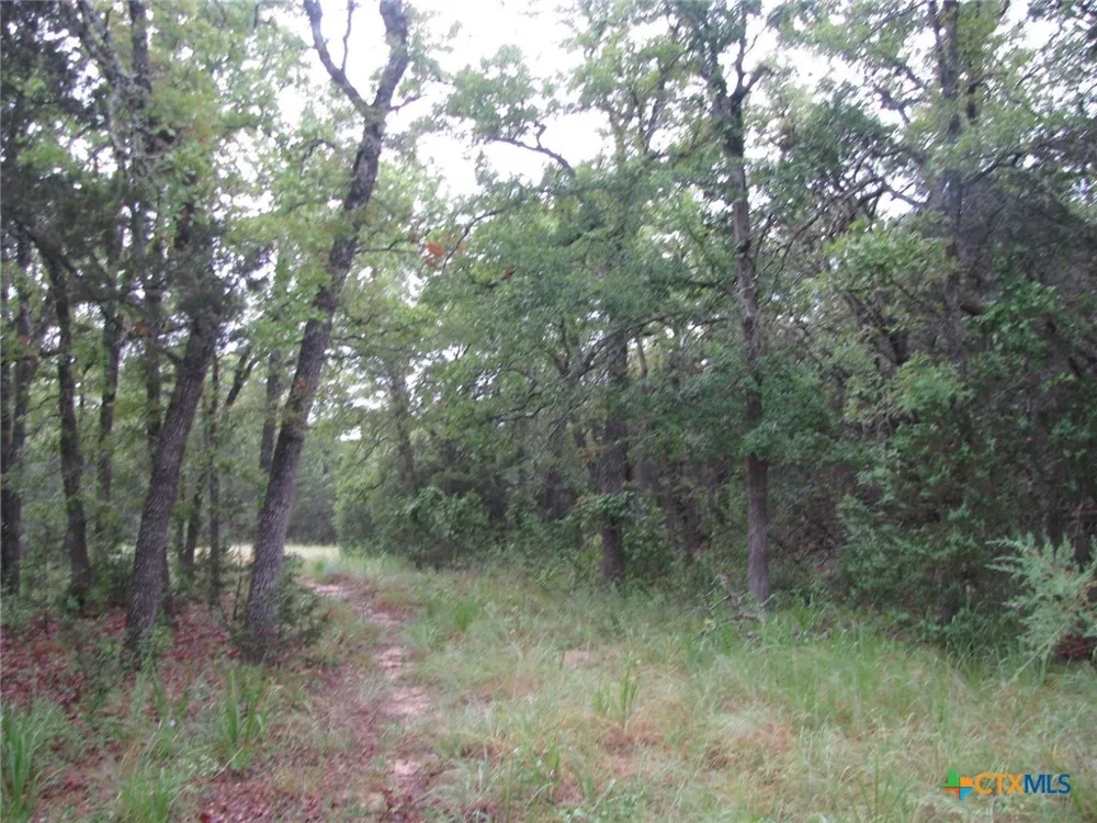 PR 1002 Purmela, TX 76566