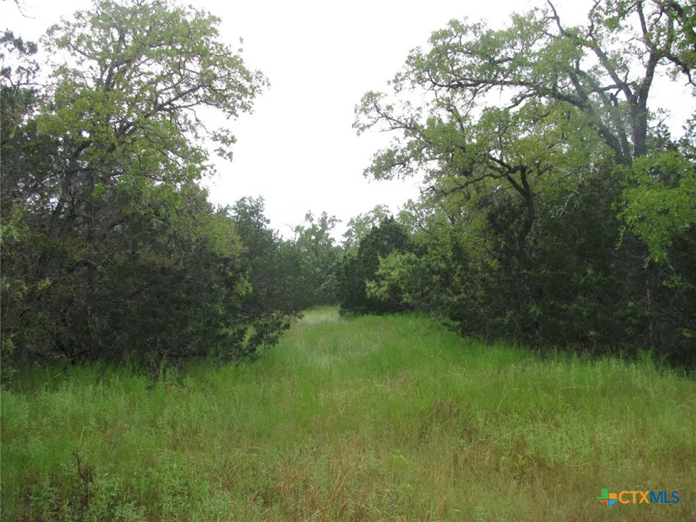PR 1002 Purmela, TX 76566