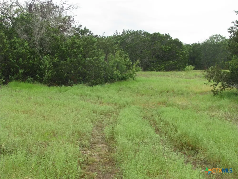 PR 1002 Purmela, TX 76566