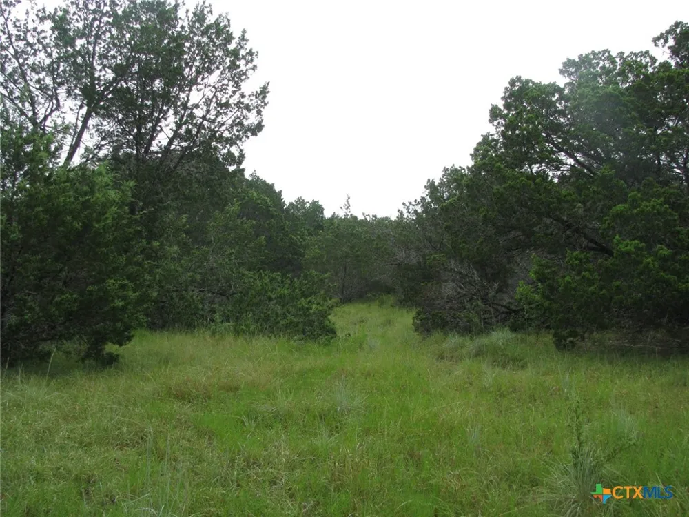 PR 1002 Purmela, TX 76566