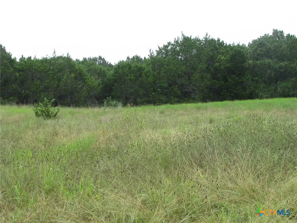 PR 1002 Purmela, TX 76566