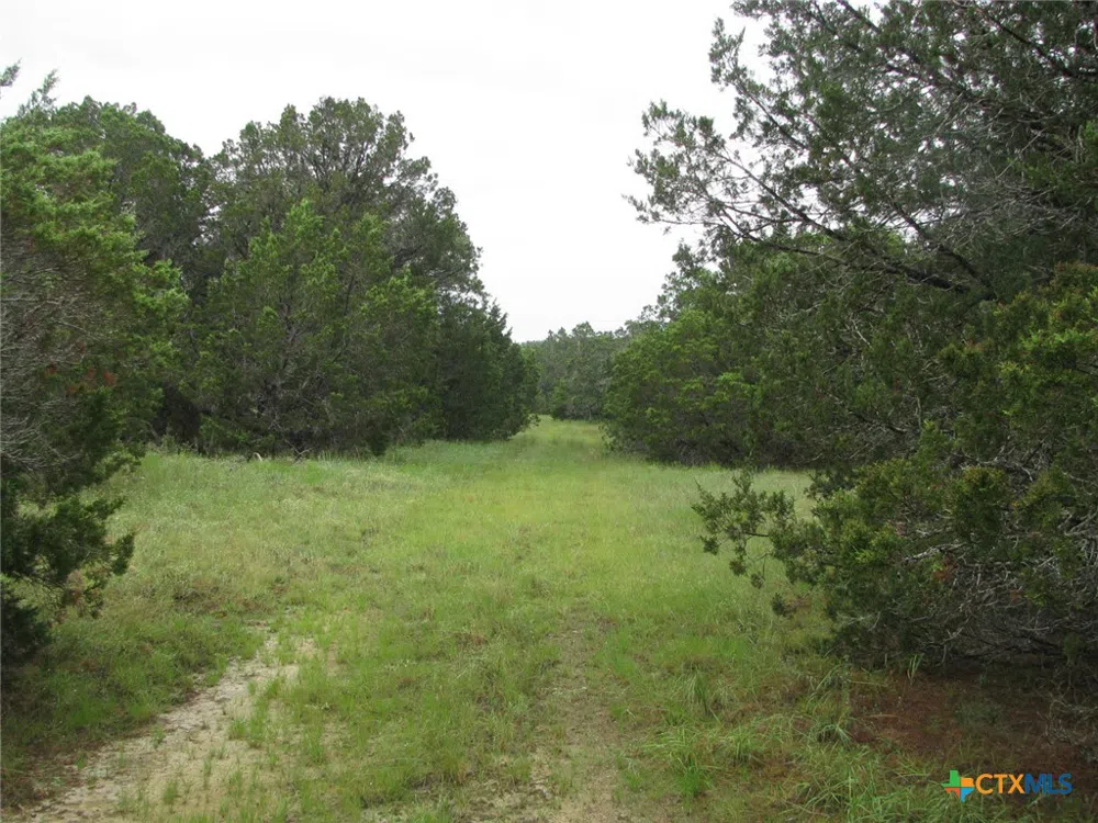 PR 1002 Purmela, TX 76566