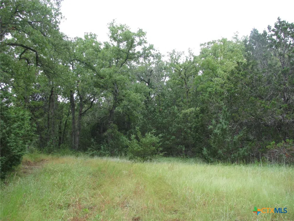 PR 1002 Purmela, TX 76566