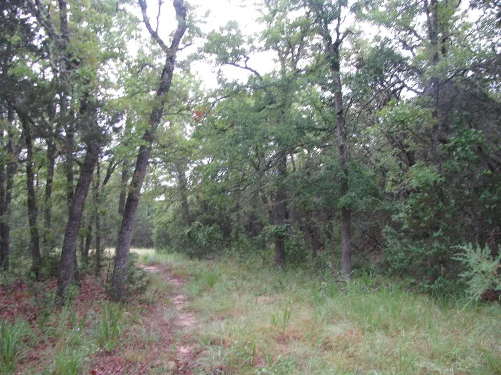 PR 1002 Purmela, TX 76566