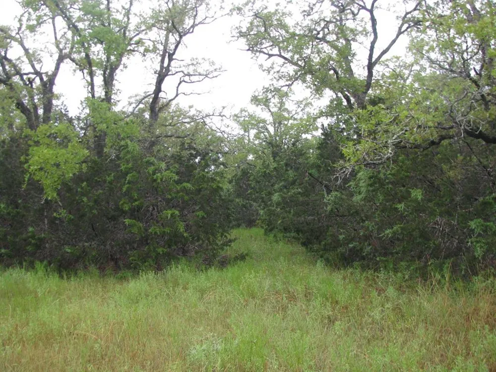 PR 1002 Purmela, TX 76566