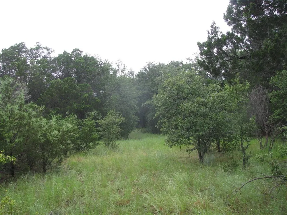 PR 1002 Purmela, TX 76566