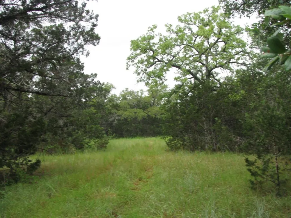 PR 1002 Purmela, TX 76566
