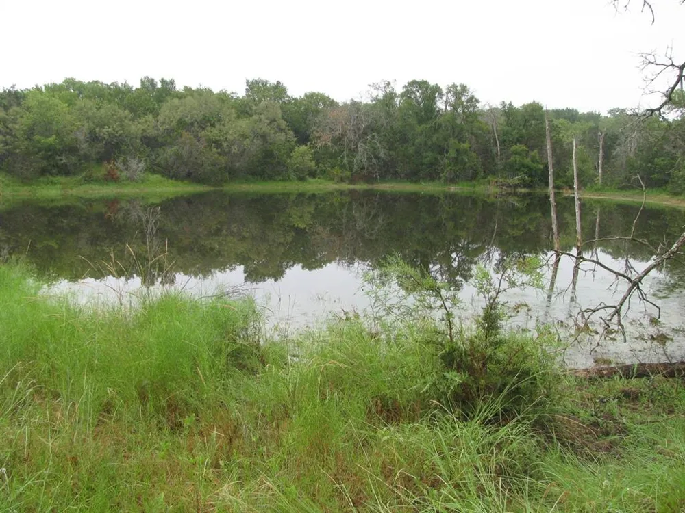 PR 1002 Purmela, TX 76566