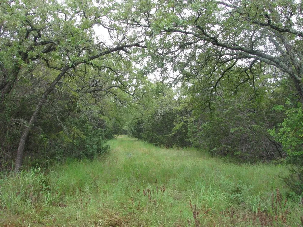 PR 1002 Purmela, TX 76566